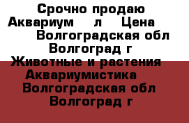  Срочно продаю Аквариум 380л. › Цена ­ 4 000 - Волгоградская обл., Волгоград г. Животные и растения » Аквариумистика   . Волгоградская обл.,Волгоград г.